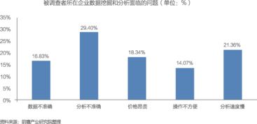 中國數據處理服務 大數據產業發展的核心引擎與投資藍圖